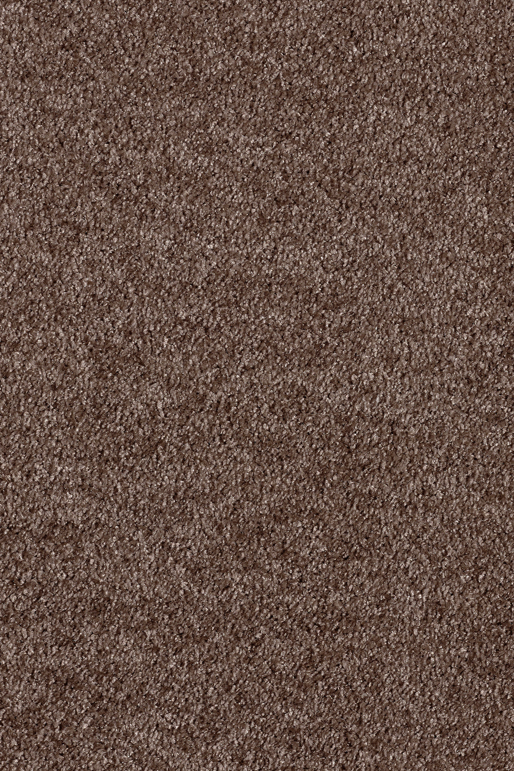 Gaia Orinoco - Havana Carpet – by Associated Weavers – 1