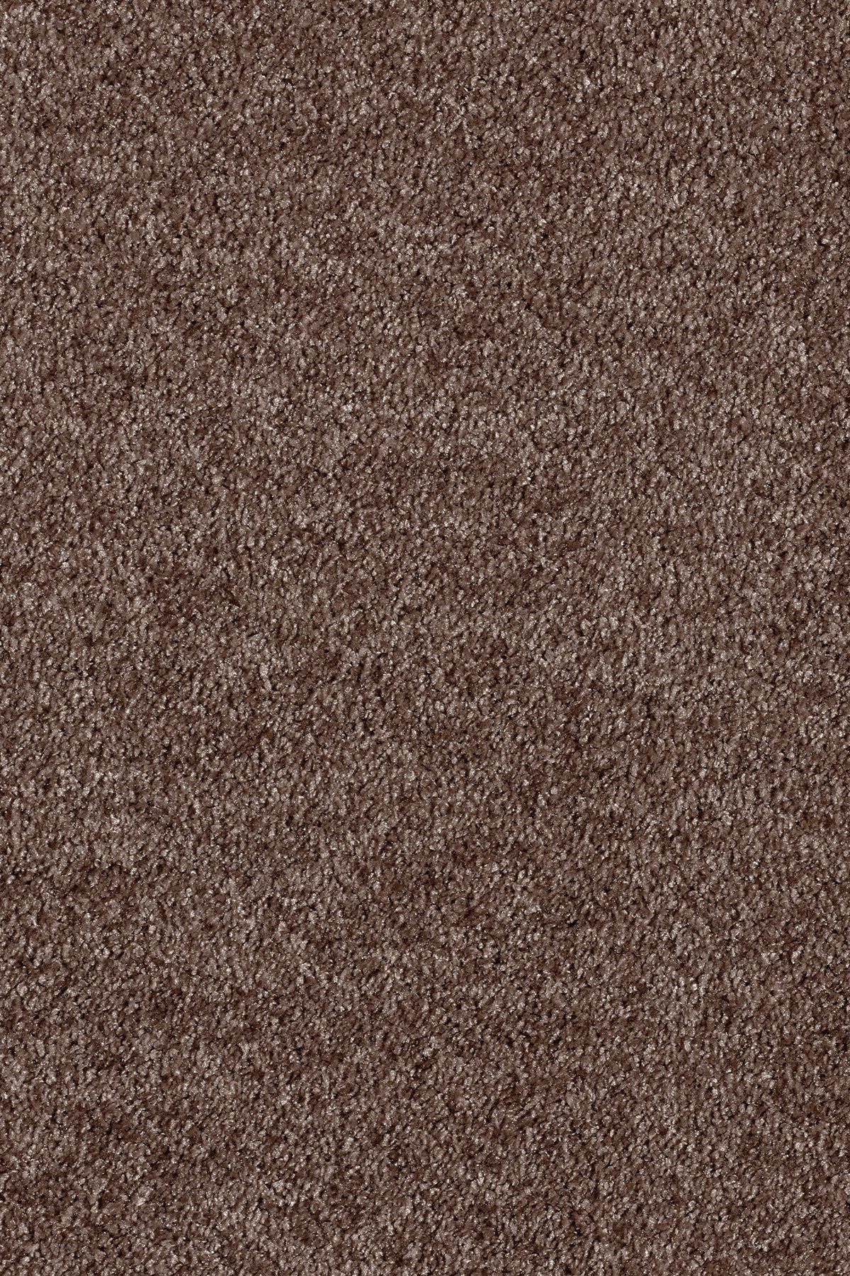 Associated Weavers Gaia Orinoco recycled deep pile carpet, soft underfoot in Raven
