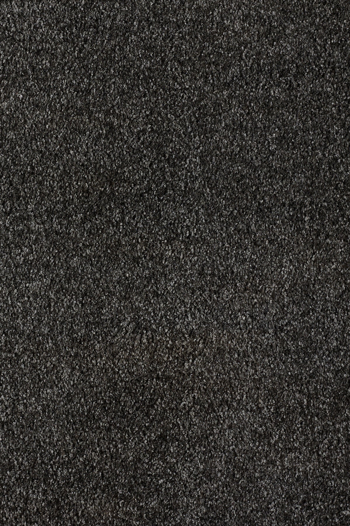 Associated Weavers Gaia Orinoco recycled deep pile carpet in Raven