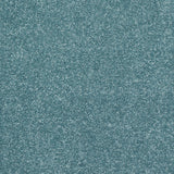 StainFree Caress Carpet