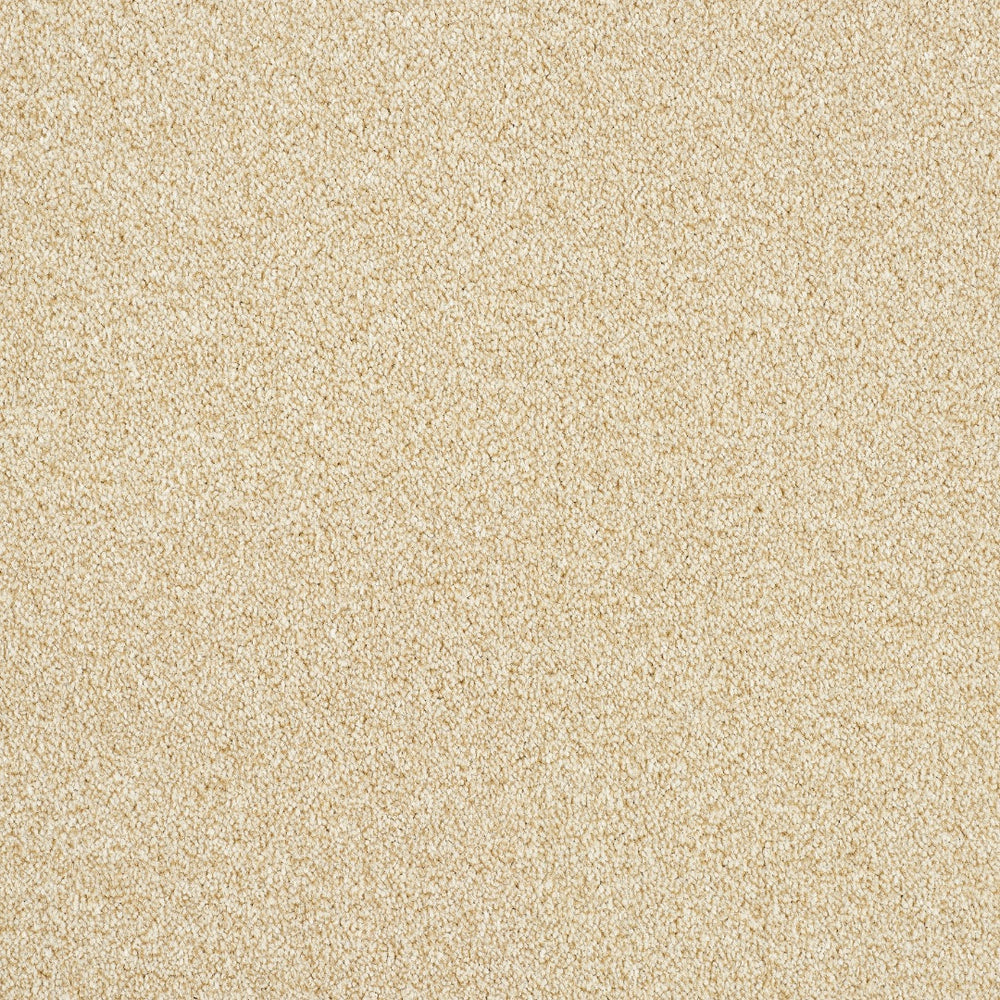 Abingdon Rustique Twist - Savannah Carpet – by Abingdon Flooring – 1