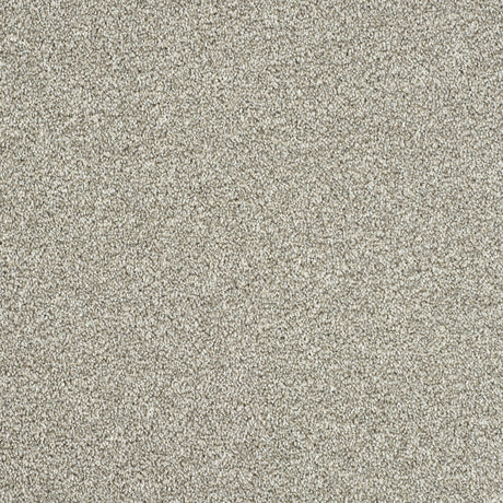 Abingdon Rustique Ultra - Riverstone Carpet – by Abingdon Flooring – 1