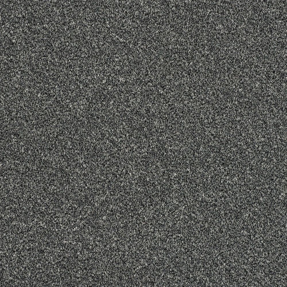 Abingdon Rustique Ultra - Ash Grove Carpet – by Abingdon Flooring – 1