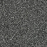 Abingdon Rustique Ultra - Ash Grove Carpet – by Abingdon Flooring – 1