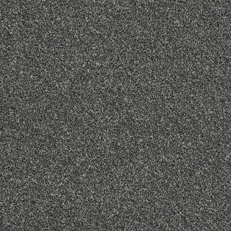 Abingdon Rustique Ultra - Ash Grove Carpet – by Abingdon Flooring – 1