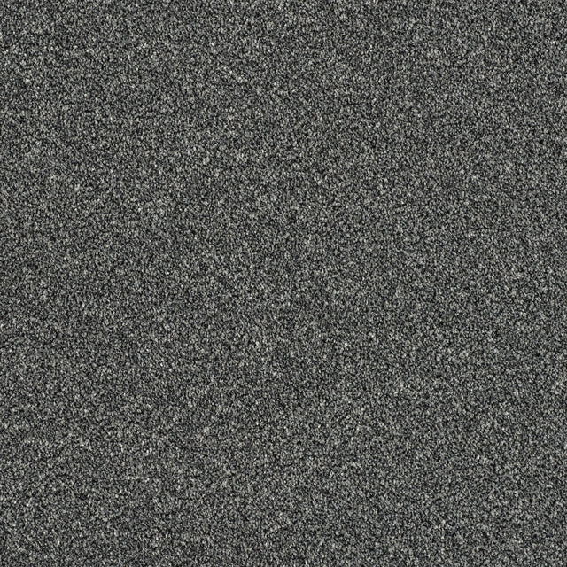 Abingdon Rustique Ultra - Ash Grove Carpet – by Abingdon Flooring – 1
