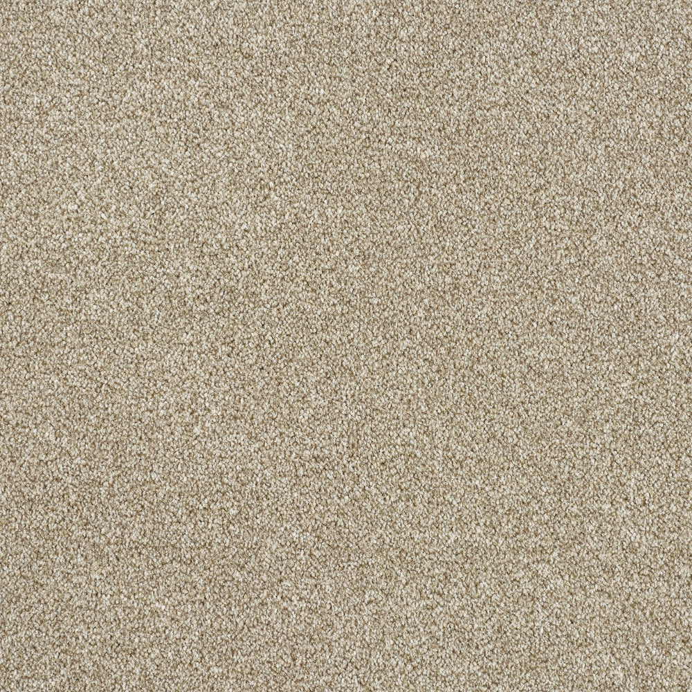 Abingdon Rustique Ultra - Driftwood Carpet – by Abingdon Flooring – 1