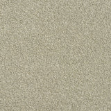 Rustique Ultra Carpet