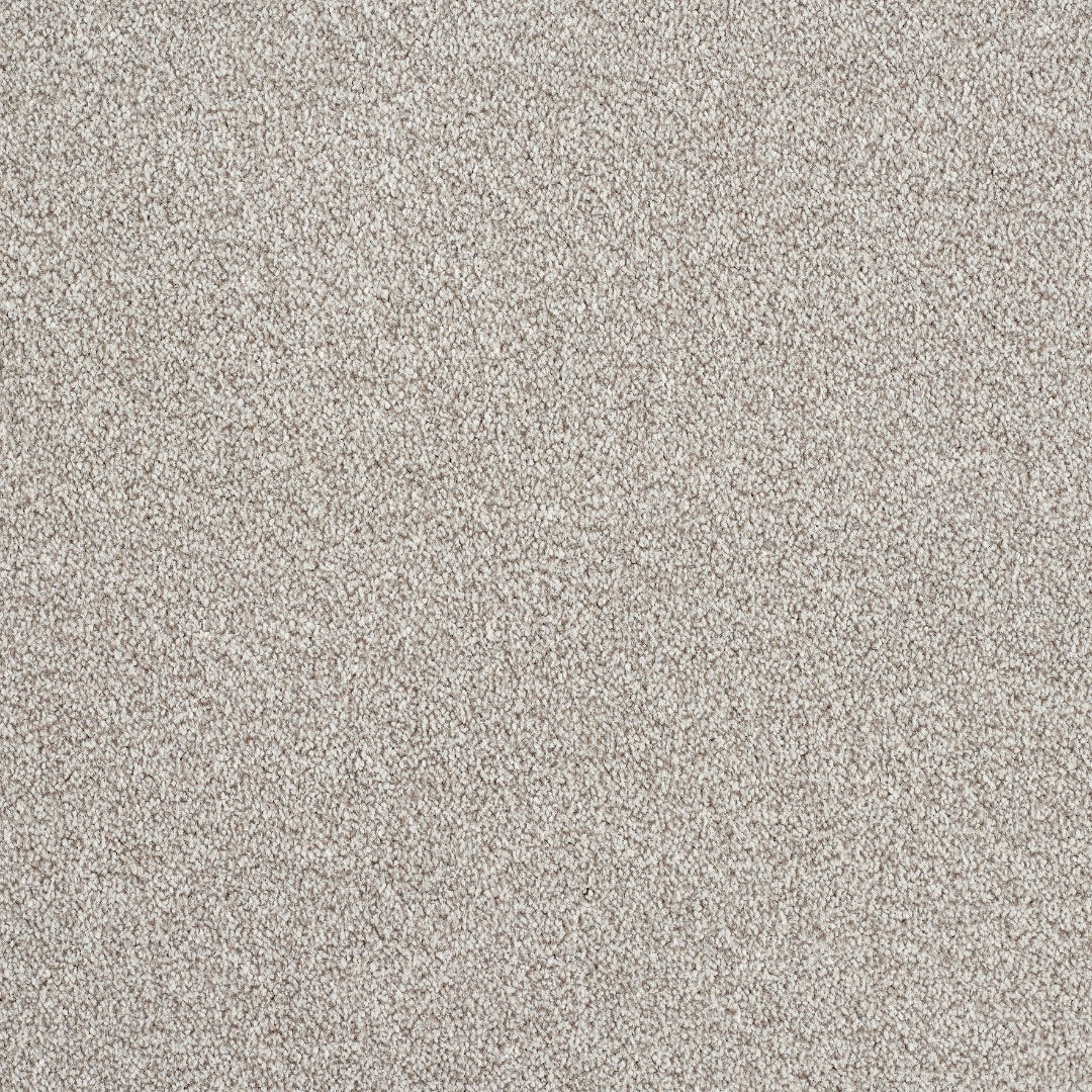 Abingdon Rustique Ultra - Greystone Carpet – by Abingdon Flooring – 1