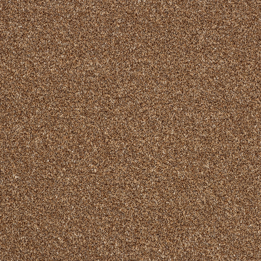 Abingdon Rustique Ultra - Harvest Festival Carpet – by Abingdon Flooring – 1