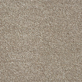 Rustique Ultra Carpet