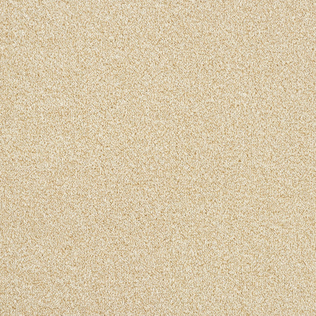 Abingdon Rustique Ultra - Savannah Carpet – by Abingdon Flooring – 1