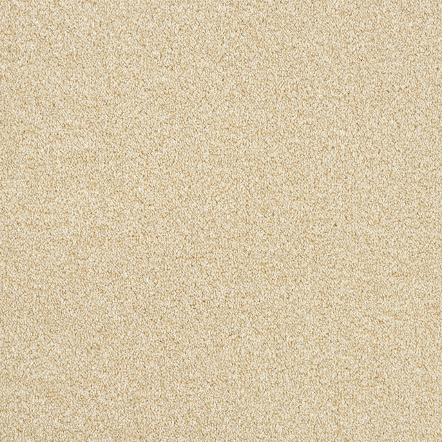Abingdon Rustique Ultra - Savannah Carpet – by Abingdon Flooring – 1