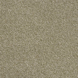 Abingdon Rustique Ultra - Sedge Carpet – by Abingdon Flooring – 1