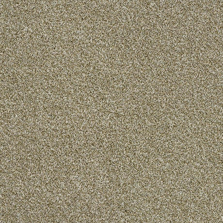 Abingdon Rustique Ultra - Sedge Carpet – by Abingdon Flooring – 1
