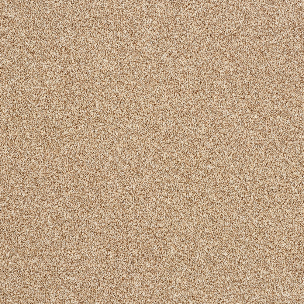 Abingdon Rustique Ultra - Thatched Roof Carpet – by Abingdon Flooring – 1