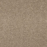 Love Story Seduction - Cashmere Carpet – by Abingdon Flooring – 1