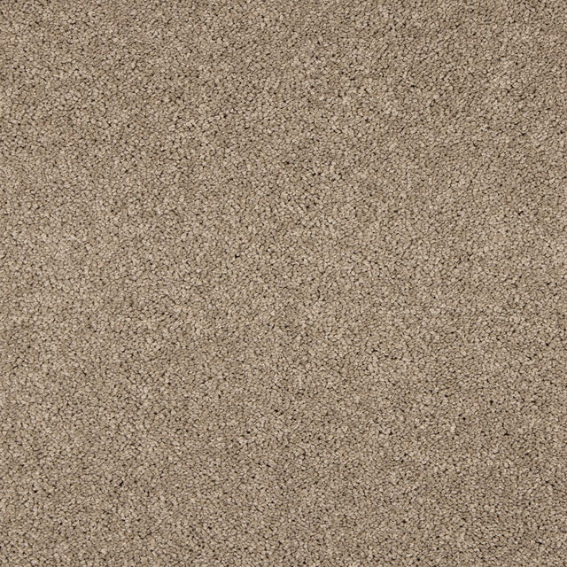 Love Story Seduction - Cashmere Carpet – by Abingdon Flooring – 1