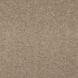 Love Story Seduction Carpet