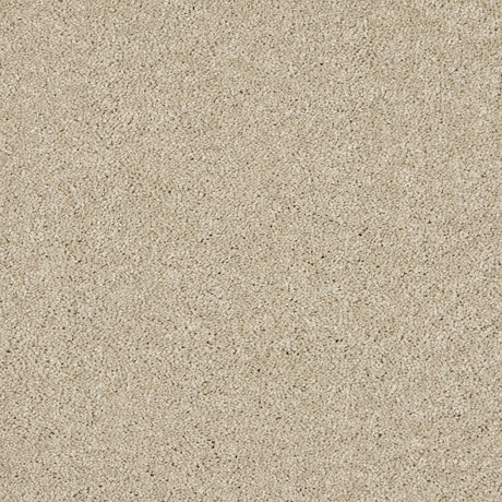 Love Story Seduction - Dove Carpet – by Abingdon Flooring – 1