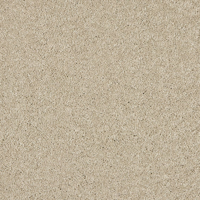 Love Story Seduction - Dove Carpet – by Abingdon Flooring – 1