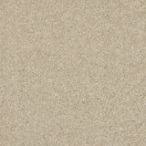 Love Story Seduction Carpet