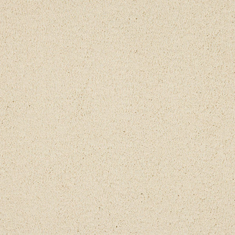 Love Story Seduction - Bone Carpet – by Abingdon Flooring – 1