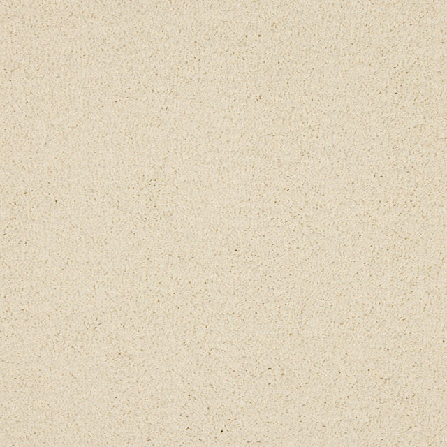 Love Story Seduction - Bone Carpet – by Abingdon Flooring – 1