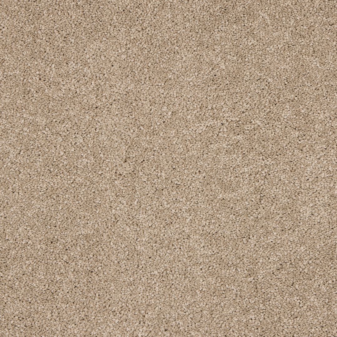 Love Story Seduction - Mouse Back Carpet – by Abingdon Flooring – 1