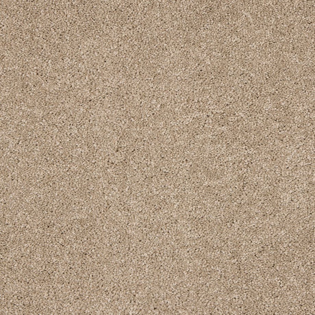 Love Story Seduction - Mouse Back Carpet – by Abingdon Flooring – 1