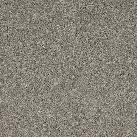 Love Story Seduction - Charleston Carpet – by Abingdon Flooring – 1