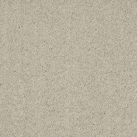 Love Story Seduction - Mist Carpet – by Abingdon Flooring – 1