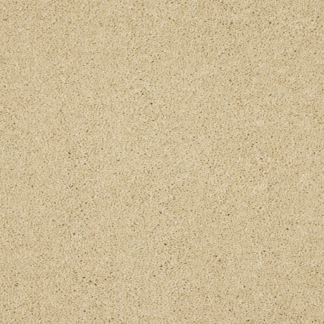 Love Story Seduction - Double Cream Carpet – by Abingdon Flooring – 1