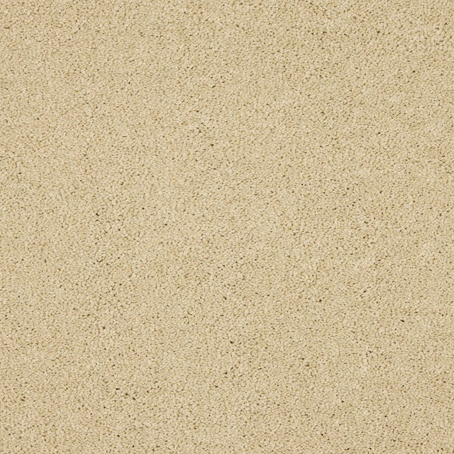 Love Story Seduction - Double Cream Carpet – by Abingdon Flooring – 1