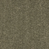Love Story Seduction - Dusty Fern Carpet – by Abingdon Flooring – 1