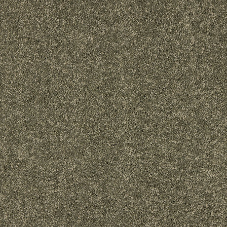 Love Story Seduction - Dusty Fern Carpet – by Abingdon Flooring – 1