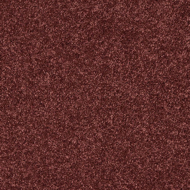 Love Story Seduction - Bookroom Red Carpet – by Abingdon Flooring – 1