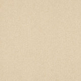Euphoria Saxony- Almond Milk Carpet – by Abingdon Flooring – 1