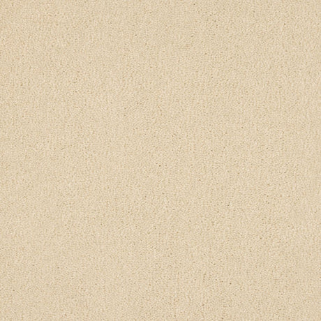 Euphoria Saxony- Almond Milk Carpet – by Abingdon Flooring – 1