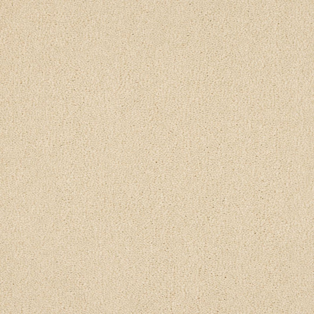 Euphoria Saxony- Almond Milk Carpet – by Abingdon Flooring – 1