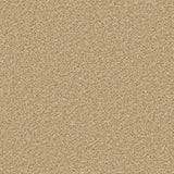 Cormar Apollo Plus - Caramel Carpet