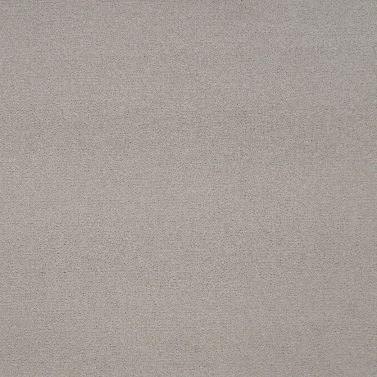 Avondale Plains Carpet