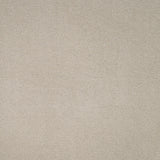 Avondale Plains Carpet