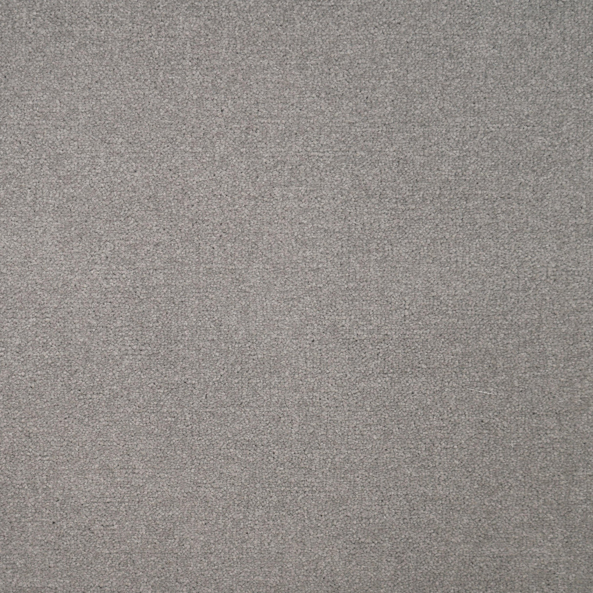 Avondale Plains Carpet