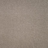 Avondale Plains Carpet