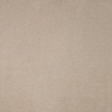 Avondale Plains Carpet