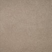 Furlong Avondale EcoSense twist carpet, easy-clean in Nimbus