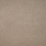 Avondale Plains Carpet