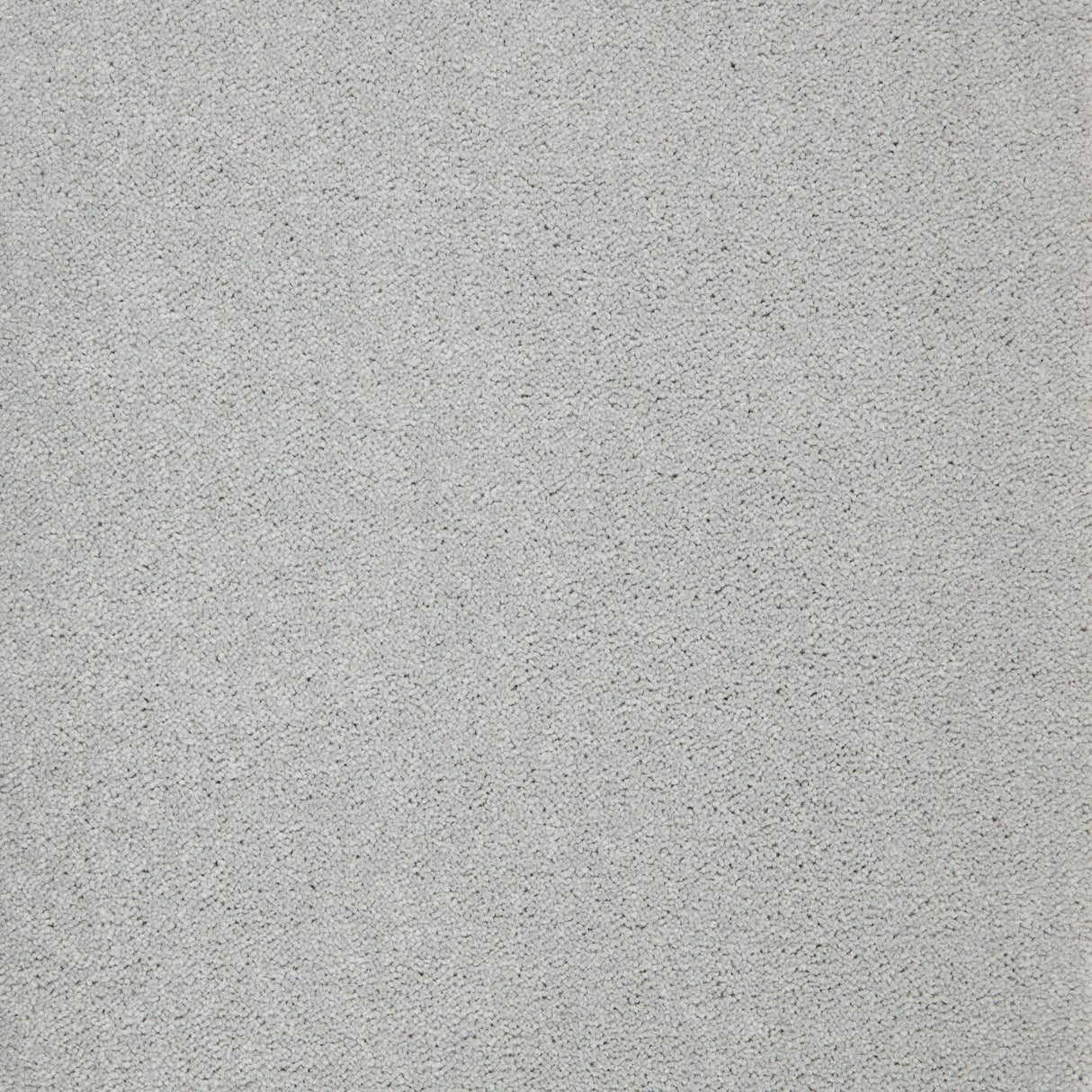 Avondale Plains Carpet