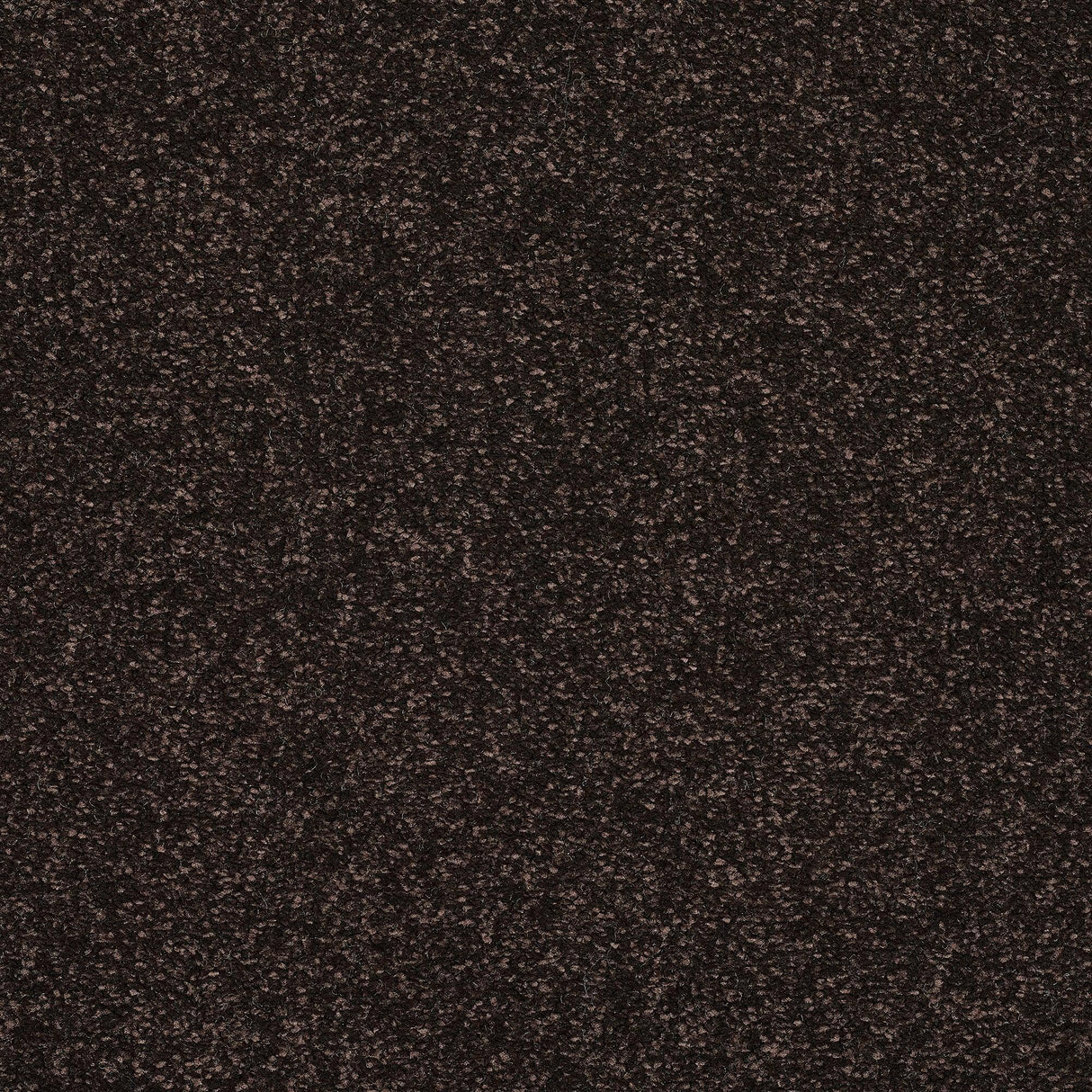 Abingdon Stainfree Caress - Bourneville Carpet